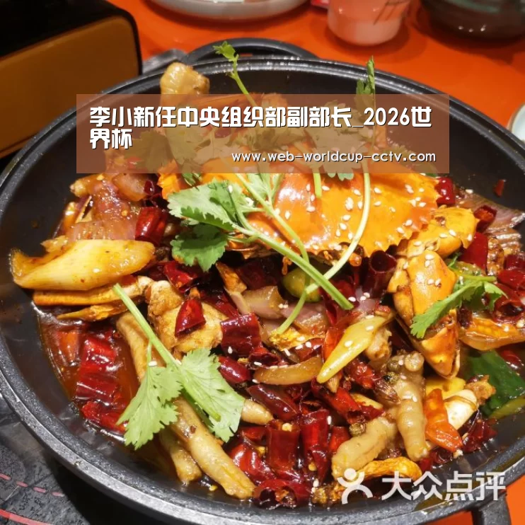 2026世界杯官网