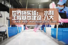 2026世界杯官网