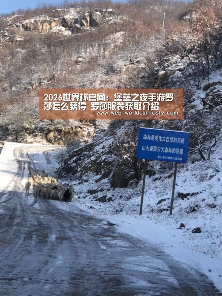 2026世界杯官网:堡垒之夜手游罗莎怎么获得 罗莎服装获取介绍(图1) 世界杯买球