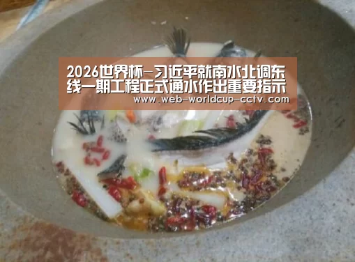 2026世界杯-习近平就南水北调东线一期工程正式通水作出重要指示要求(图1) 2026世界杯官网