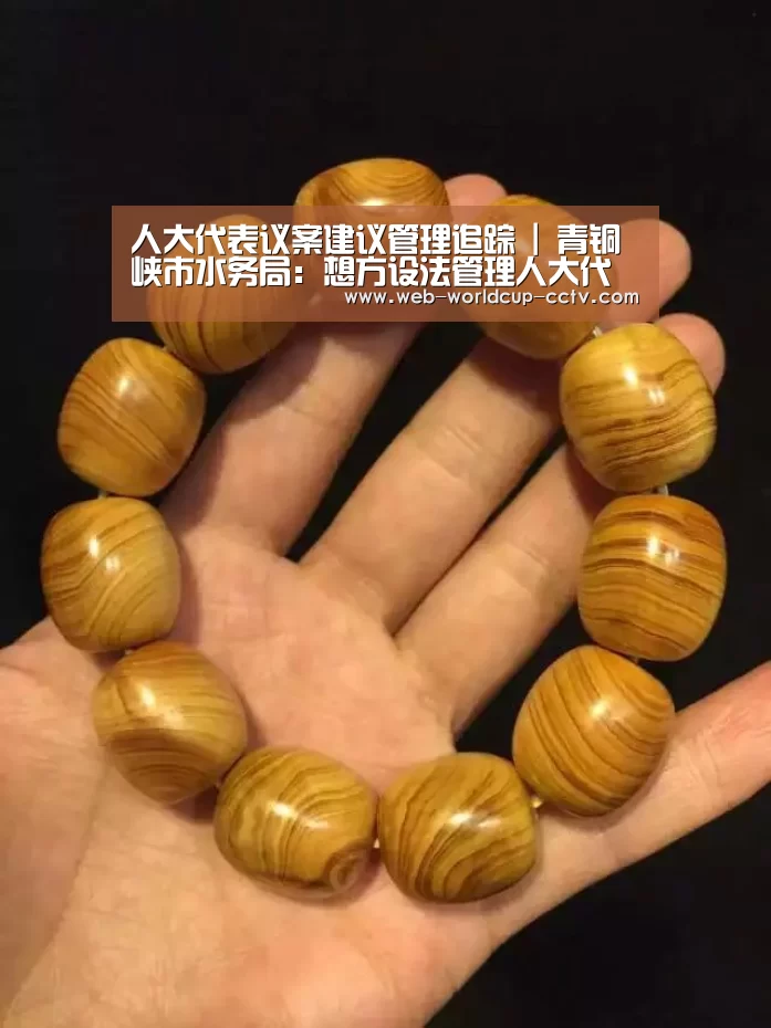 世界杯买球