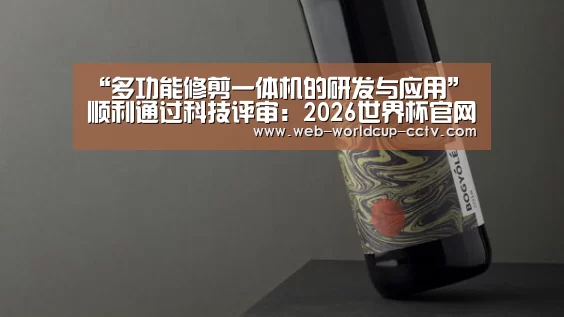 2026世界杯
